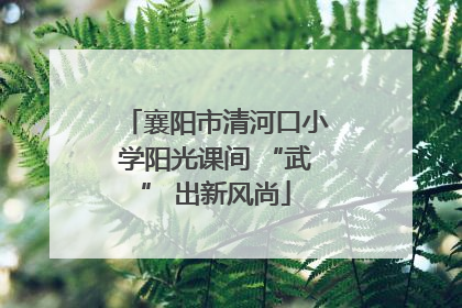 襄阳市清河口小学阳光课间 “武” 出新风尚
