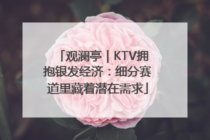 观澜亭｜KTV拥抱银发经济：细分赛道里藏着潜在需求