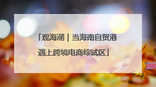 观海潮｜当海南自贸港遇上跨境电商综试区