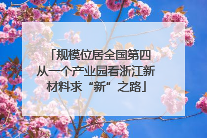 规模位居全国第四 从一个产业园看浙江新材料求“新”之路