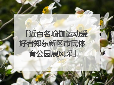 近百名瑜伽运动爱好者郑东新区市民体育公园展风采