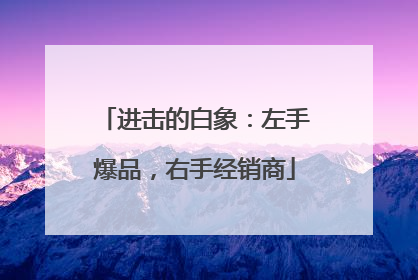 进击的白象：左手爆品，右手经销商