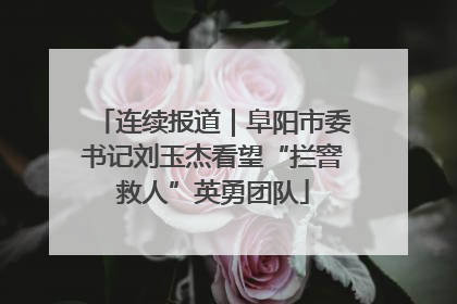 连续报道｜阜阳市委书记刘玉杰看望“拦窨救人”英勇团队