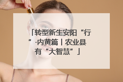 转型新生安阳“行”·内黄篇丨农业县有“大智慧”