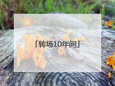 转场10年间