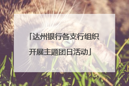 达州银行各支行组织开展主题团日活动