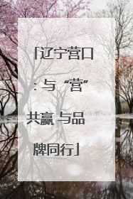 辽宁营口：与“营”共赢 与品牌同行