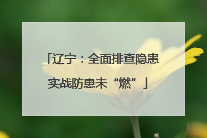 辽宁：全面排查隐患 实战防患未“燃”