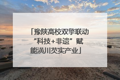 豫陕高校双擎联动 “科技+非遗”赋能潢川芡实产业