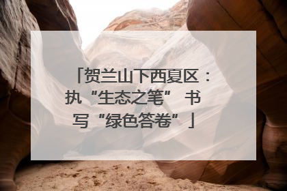 贺兰山下西夏区：执“生态之笔” 书写“绿色答卷”