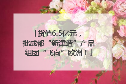 货值6.5亿元，一批成都“新津造”产品组团“飞向”欧洲！