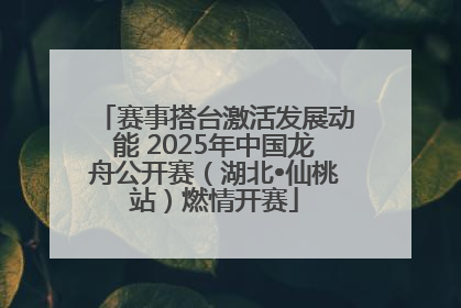 赛事搭台激活发展动能 2025年中国龙舟公开赛（湖北•仙桃站）燃情开赛