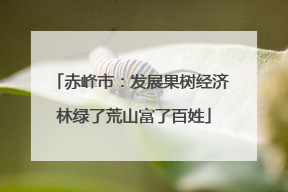 赤峰市：发展果树经济林绿了荒山富了百姓