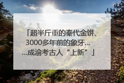 超半斤重的秦代金饼、3000多年前的象牙……成渝考古人“上新”