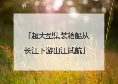 超大型集装箱船从长江下游出江试航