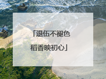 退伍不褪色 稻香映初心