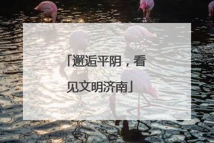邂逅平阴，看见文明济南