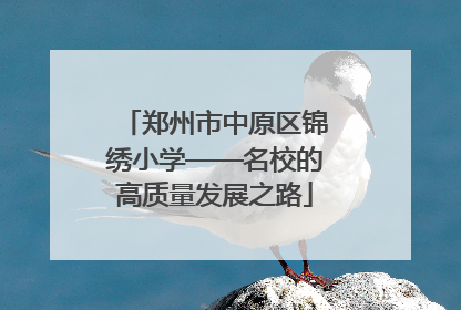 郑州市中原区锦绣小学——名校的高质量发展之路