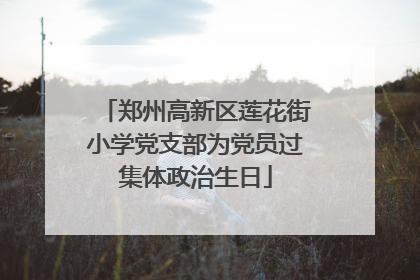 郑州高新区莲花街小学党支部为党员过集体政治生日