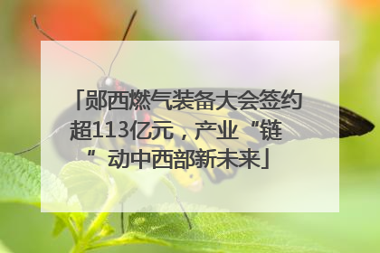 郧西燃气装备大会签约超113亿元，产业“链”动中西部新未来