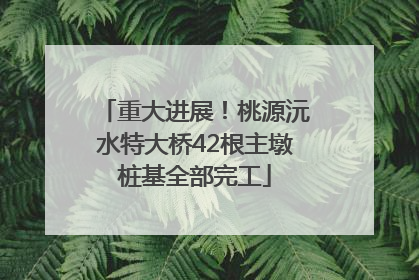 重大进展！桃源沅水特大桥42根主墩桩基全部完工