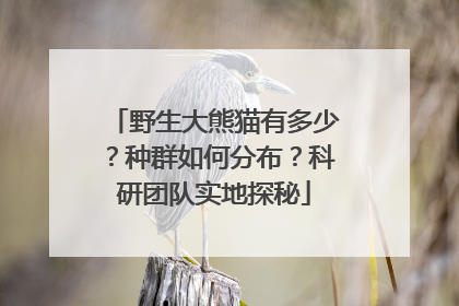 野生大熊猫有多少？种群如何分布？科研团队实地探秘