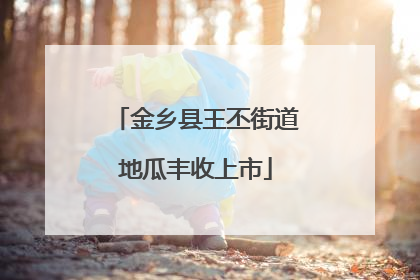 金乡县王丕街道地瓜丰收上市