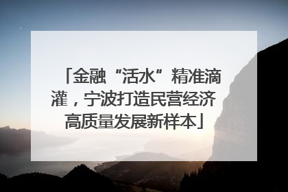 金融“活水”精准滴灌，宁波打造民营经济高质量发展新样本
