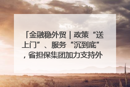 金融稳外贸｜政策“送上门”、服务“沉到底”，省担保集团加力支持外经贸高质量发展