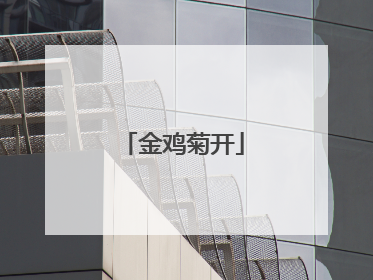 金鸡菊开