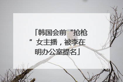 韩国会前“抢枪”女主播，被李在明办公室提名