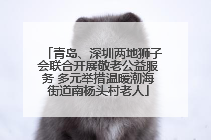 青岛、深圳两地狮子会联合开展敬老公益服务 多元举措温暖潮海街道南杨头村老人
