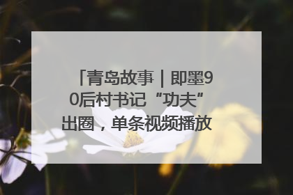 青岛故事｜即墨90后村书记“功夫”出圈，单条视频播放量过600万