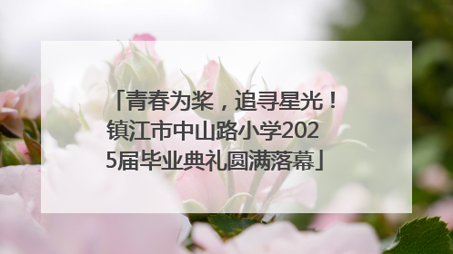 青春为桨，追寻星光！镇江市中山路小学2025届毕业典礼圆满落幕