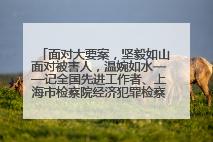 面对大要案，坚毅如山面对被害人，温婉如水——记全国先进工作者、上海市检察院经济犯罪检察部主任马玮玮