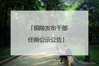 铜陵发布干部任前公示公告
