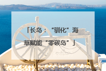 长岛：“驯化”海草赋能“零碳岛”