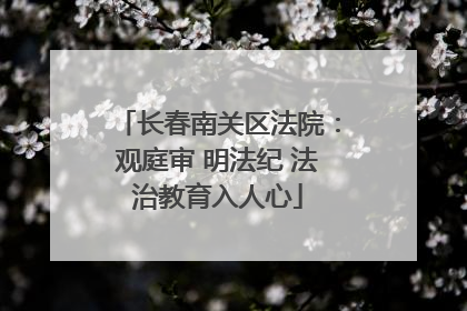 长春南关区法院：观庭审 明法纪 法治教育入人心