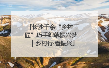 长沙千余“乡村工匠”巧手织就振兴梦｜乡村行·看振兴