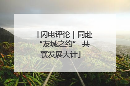 闪电评论｜同赴“友城之约” 共襄发展大计