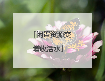 闲置资源变增收活水