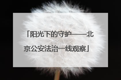 阳光下的守护——北京公安法治一线观察