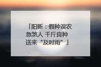 阳新：假种误农急煞人 千斤良种送来“及时雨”