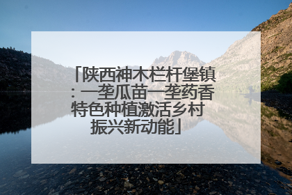 陕西神木栏杆堡镇：一垄瓜苗一垄药香 特色种植激活乡村振兴新动能