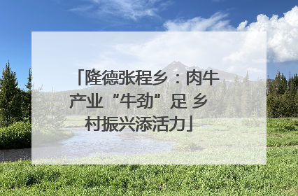 隆德张程乡：肉牛产业“牛劲”足 乡村振兴添活力