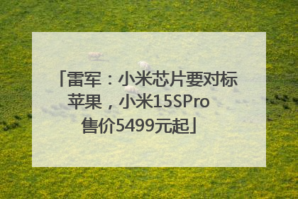 雷军：小米芯片要对标苹果，小米15SPro售价5499元起