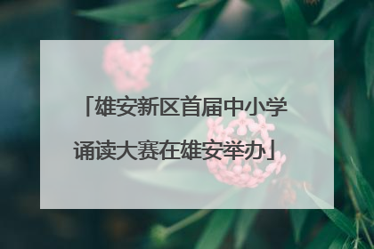 雄安新区首届中小学诵读大赛在雄安举办