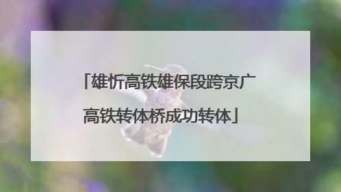 雄忻高铁雄保段跨京广高铁转体桥成功转体