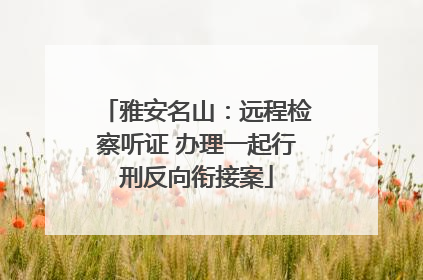 雅安名山：远程检察听证 办理一起行刑反向衔接案