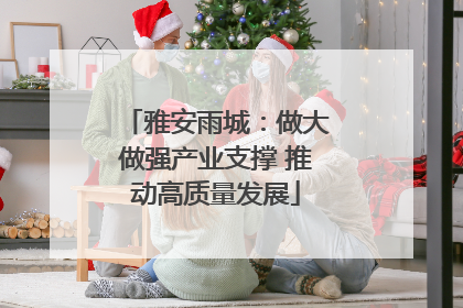 雅安雨城：做大做强产业支撑 推动高质量发展